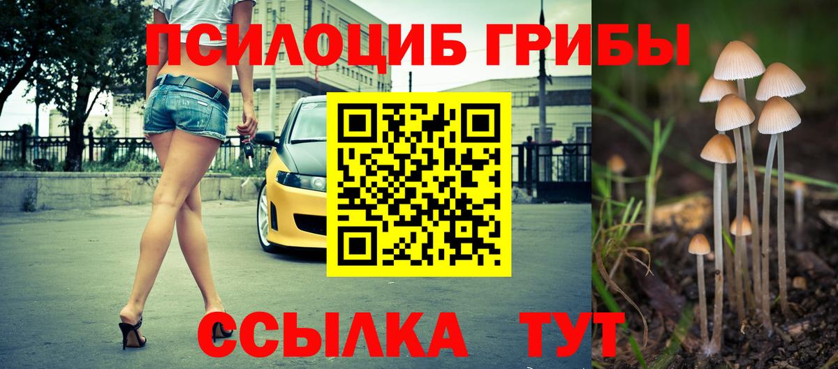Галлюциногенные грибы MAGIC MUSHROOMS  Вход с VPN  Котельники 